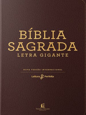 cover image of Bíblia NVI, Couro Soft, Marrom, Letra Gigante, Leitura Perfeita